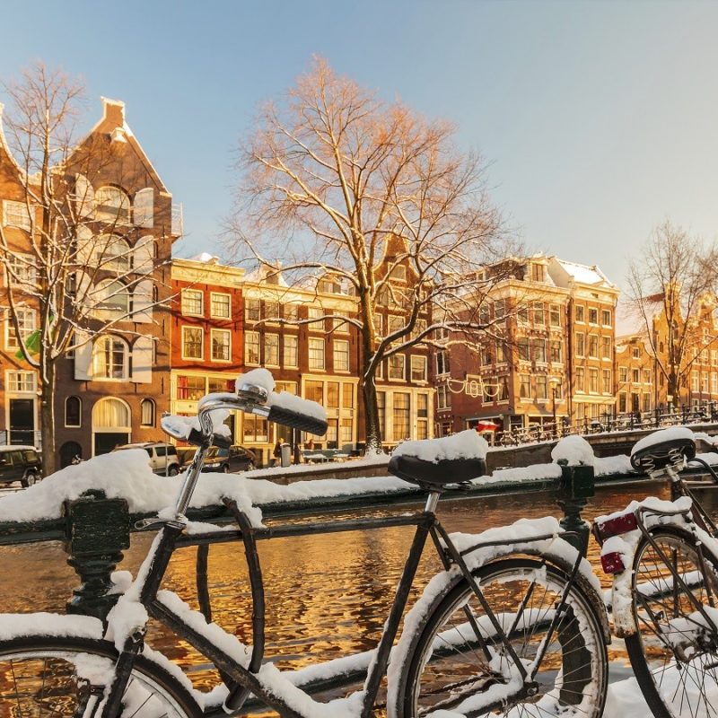Image for Reasons to visit Amsterdam this February
