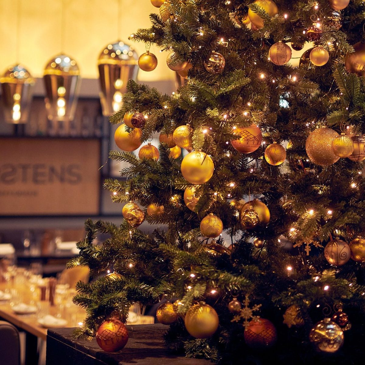 Carstens_Winter_Christmas-Tree