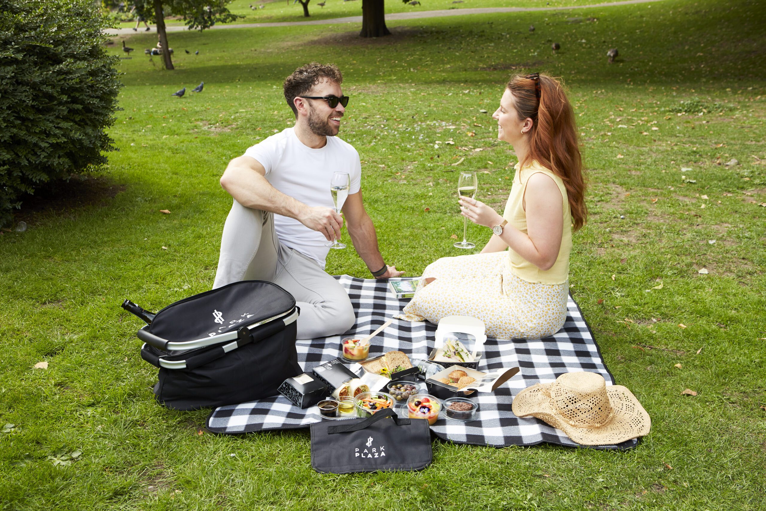 park plaza picnic - a classic London hotel picnic