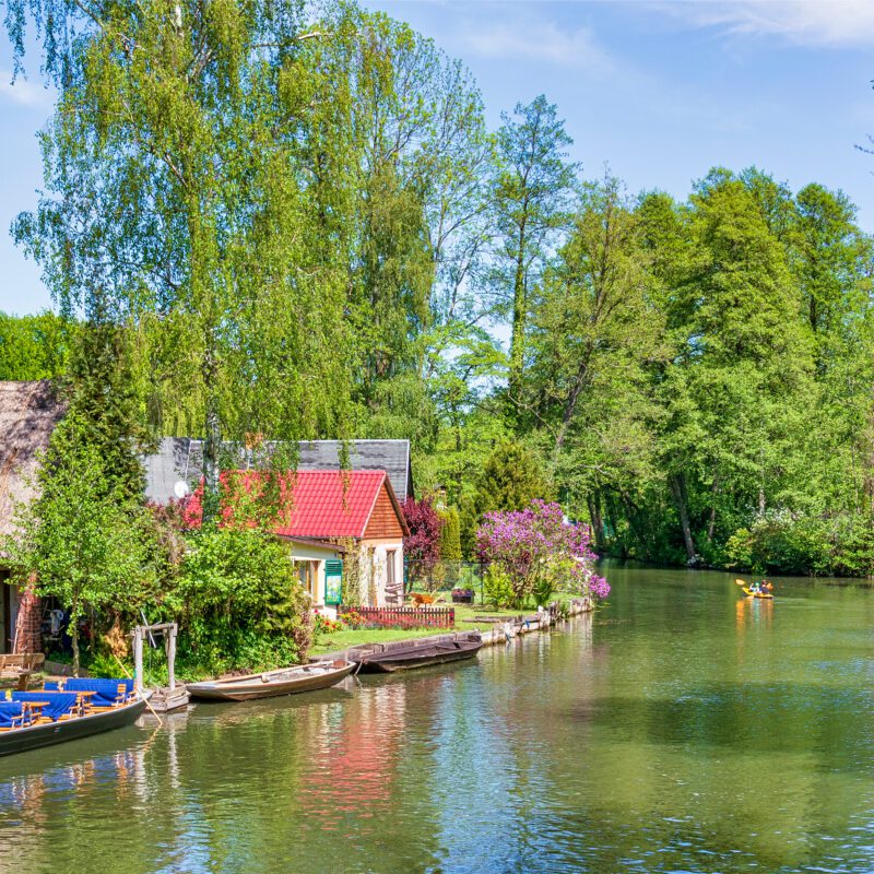 Image for Day Trips from Berlin